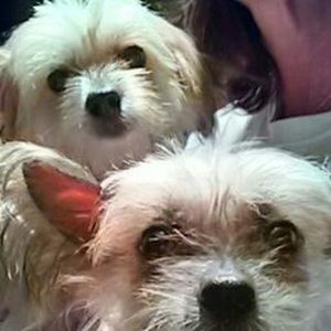 Meet your Posher, Nelly